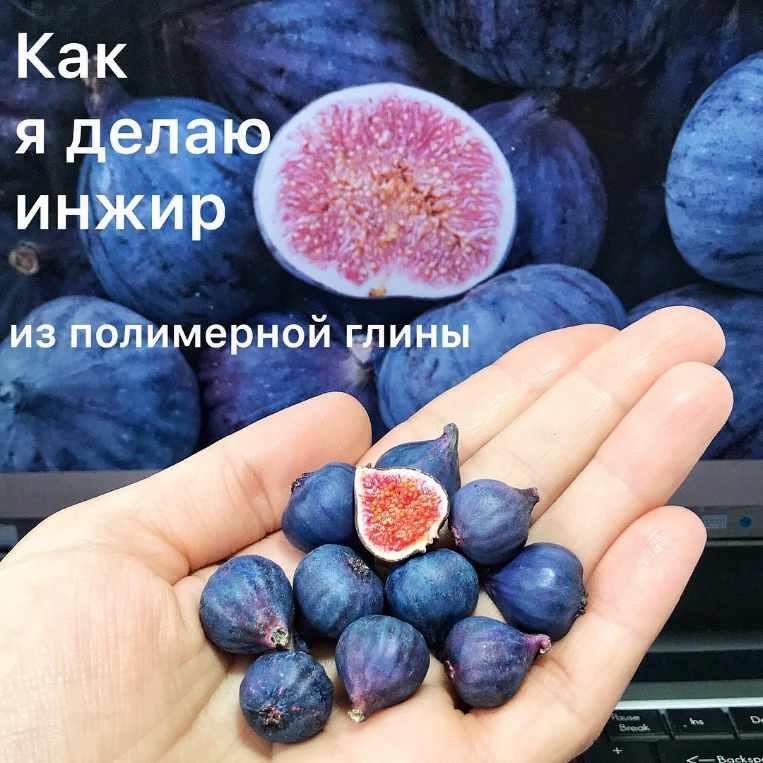 МК "Инжир целый и инжир в разрезе из полимерной глины" (magic_magic_garden)