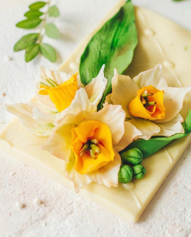 Шоколадные Нарциссы (Екатерина Завирюха)