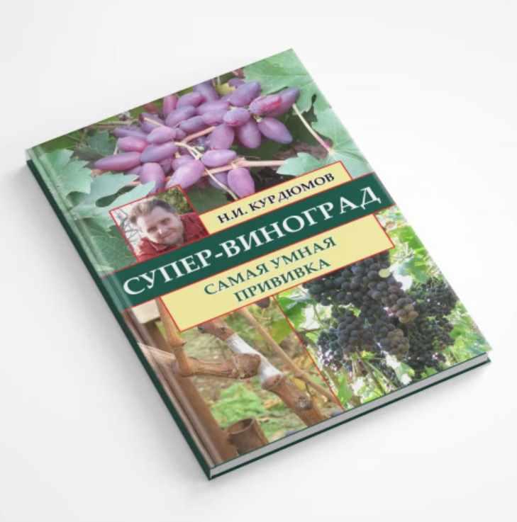 Супер-виноград. Навык 3 Самая умная прививка (Николай Курдюмов)