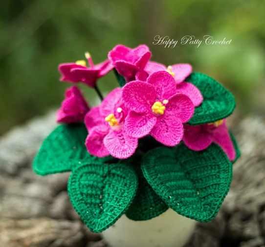 African Violet/Африканская фиалка (HappyPattyCrochet)