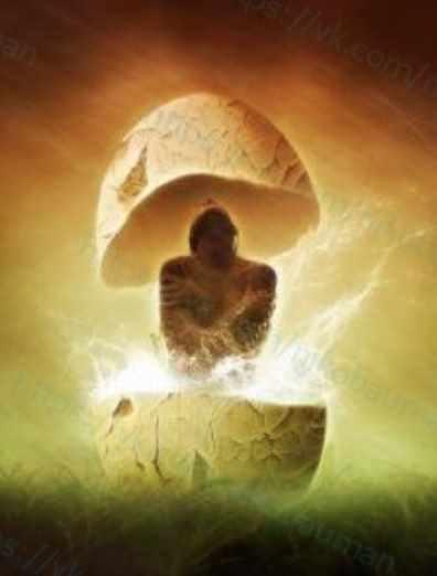 Личный тренинг-консультация. Практики по материализации желаний (Нико Бауман)