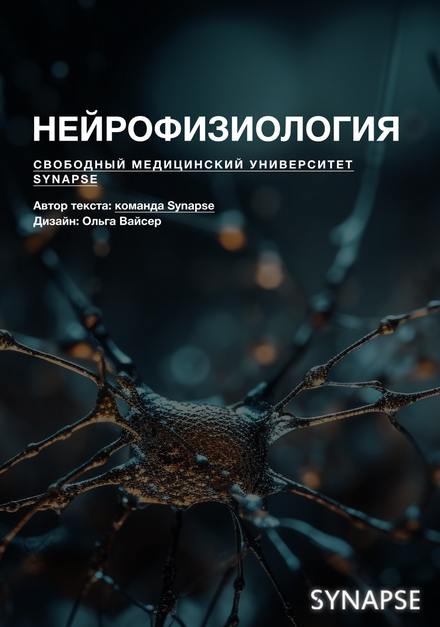 [Synapse] Методичка по нейрофизиологии