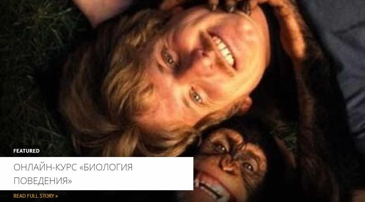 [Архэ] Биология поведения. Лекция 4. Когнитивная этология (Сергей Лопатин)