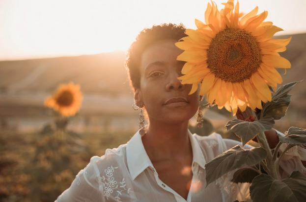 Классные солнечные пресеты. Meridian Terra Desktop (Jyo Bhamidipati)