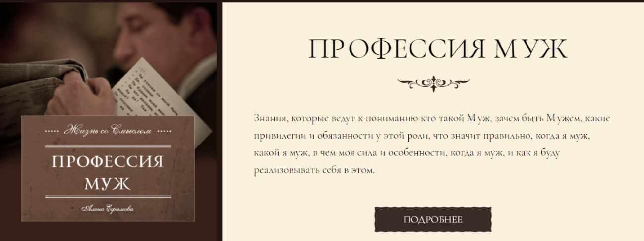 Профессия муж (Алена Ефимова)