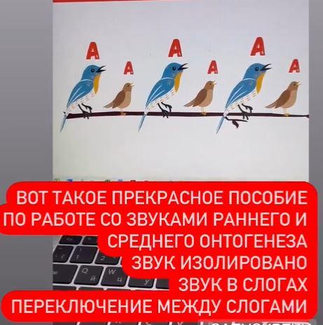 [logoledi_natali_] Логопедическое пособие "Звуковичок" (Наталья Санжаревская)
