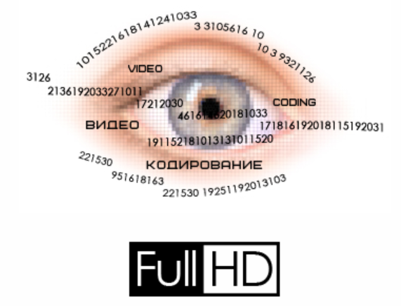 [SUNBRILLIANT] Позитив и энергия на каждый день! (25 GGrassvet)