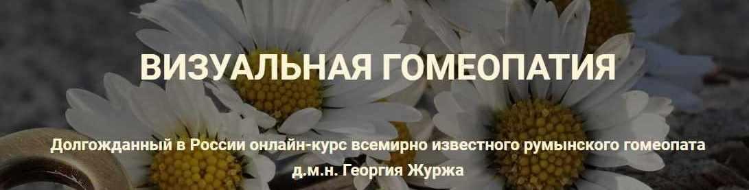 Визуальная гомеопатия. Тариф «9 занятие» (Георгий Журж)