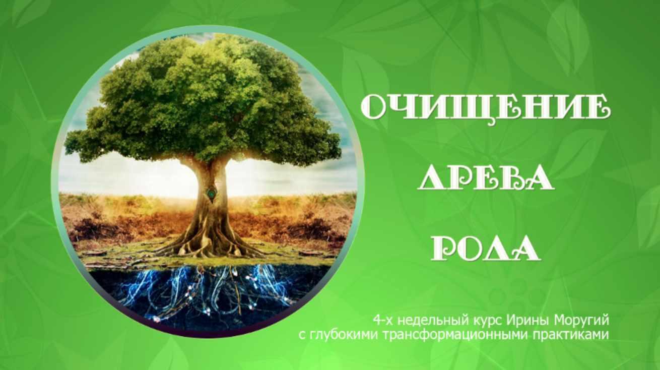 Очищение древа рода (Ирина Моругий)