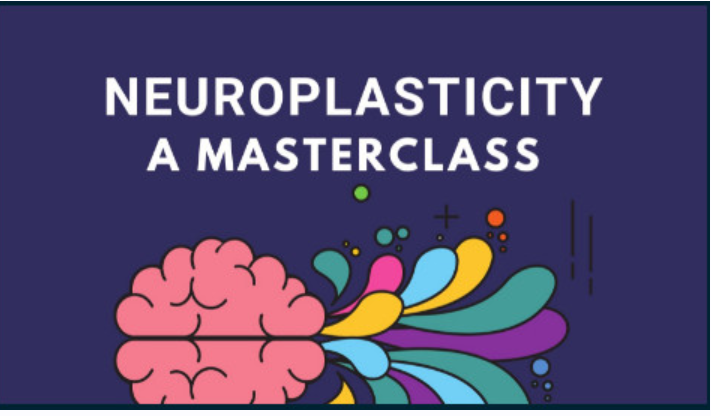 [Skillshare] Нейропластичность – Система быстрого перепрограммирования мозга. Часть 1 из 7 (Ной Мерриби)