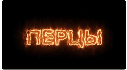 Перцы (Антон Маркин)