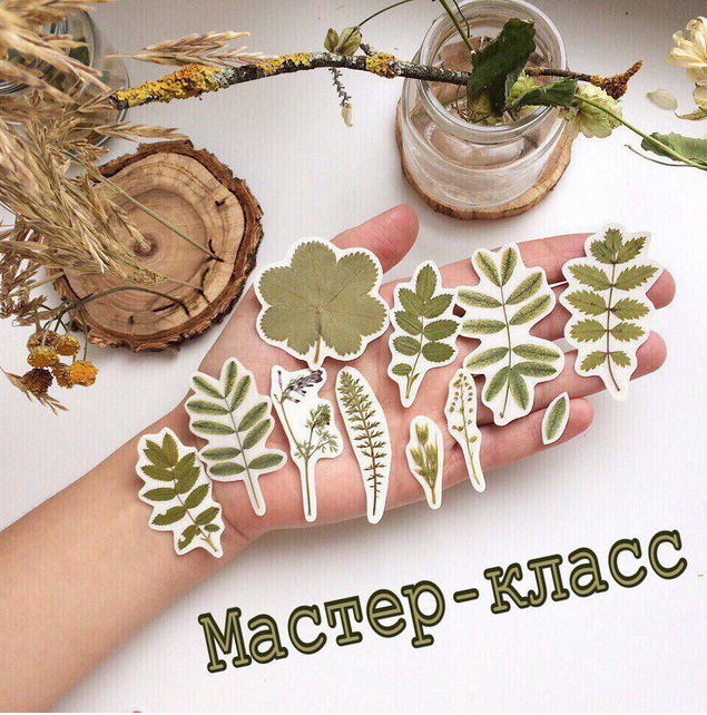 [Декор] МК по созданию наклеек из гербария (live_box_)