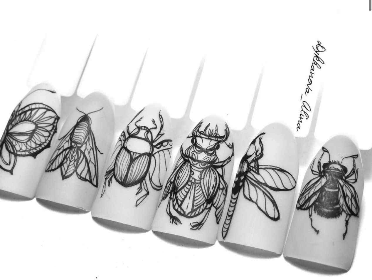 Насекомые тушью (Алина Дыханова)