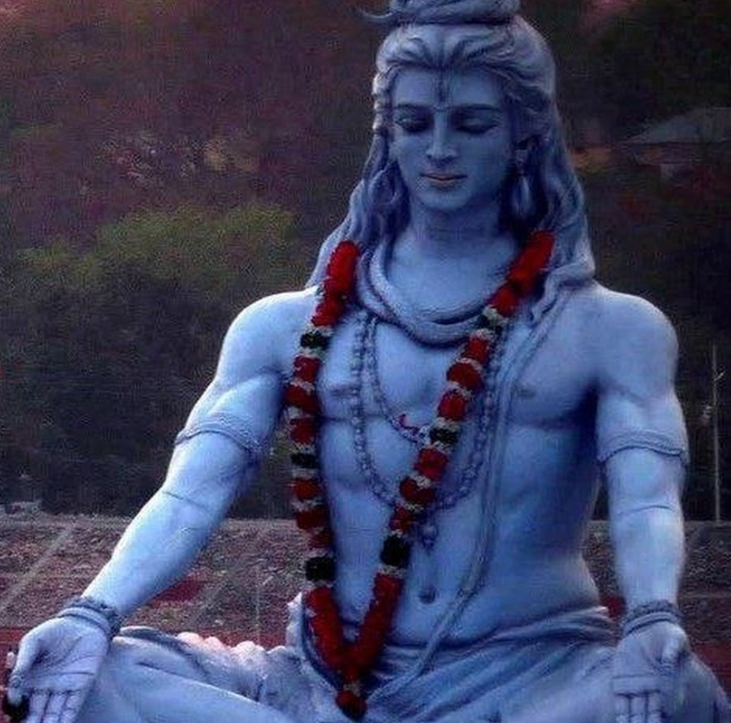 [Шива Центр] Неизвестное о селезёнке и её роли в жизни человека (Шива)