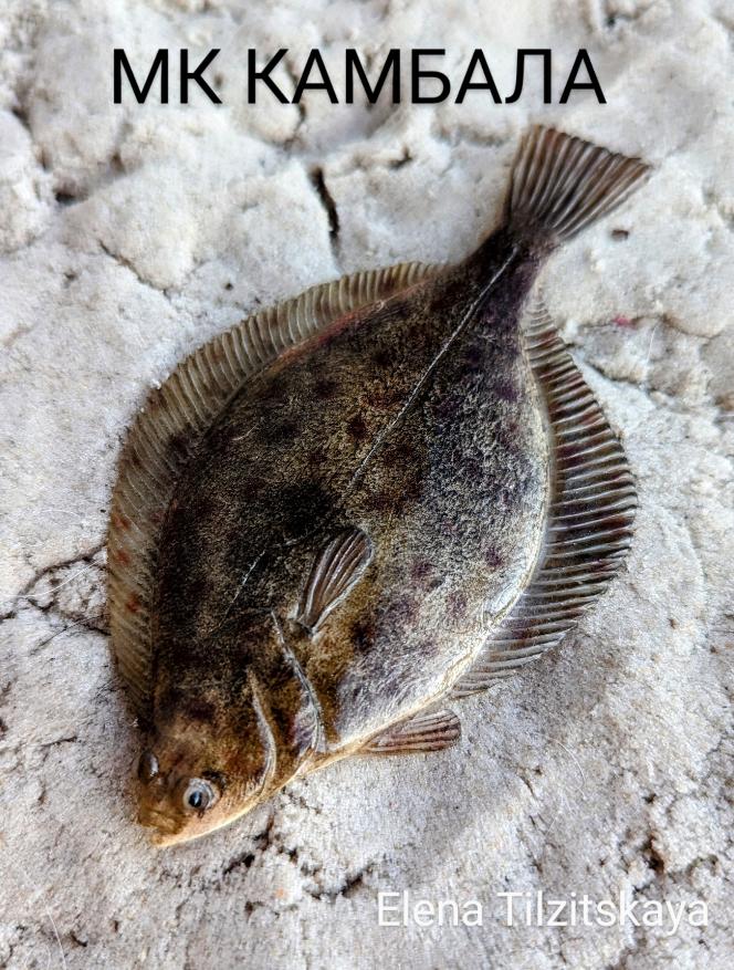 [podarikrasotu39] Лепка и тонировка камбалы (Елена Тильзитская)