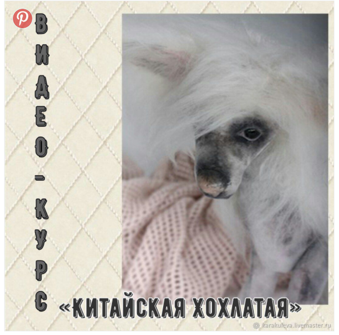 ВИДЕО-КУРС "Живая собачка 2. Китайская Хохлатая" (Светлана Каракулева)