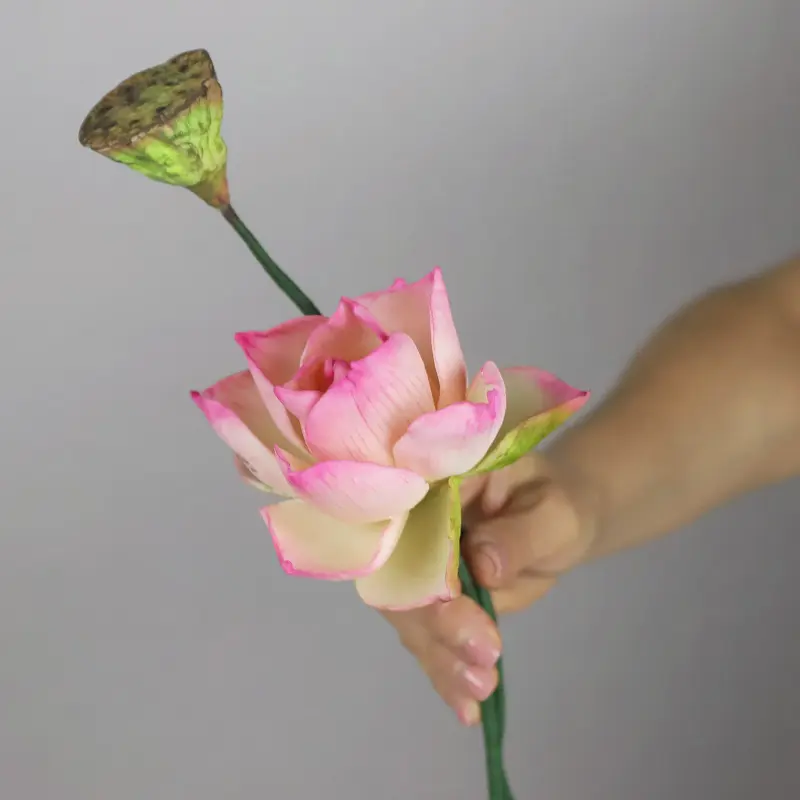 Лотос из пластичного шоколада (Даяна Лус)