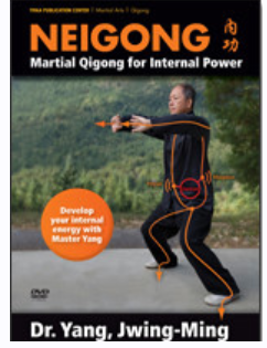 Нейгун. Часть 12 (Ян Дзюн Мин)