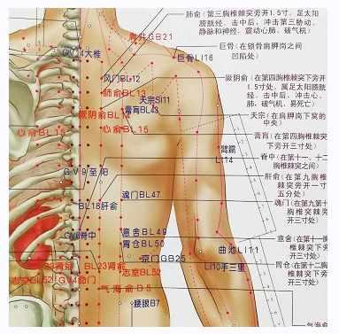 Туина. Курс от новичка до мастера. Часть 2 из 2 (Декстер Линч)
