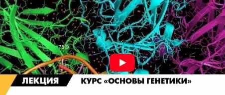 [Архэ] Основы генетики. Полный курс (Андрей Синюшин)