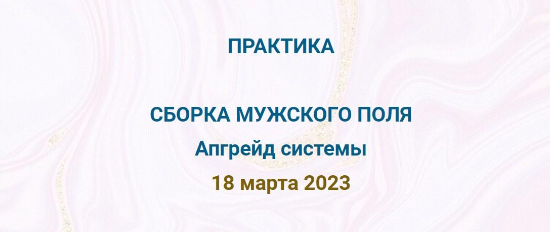 Сборка мужского поля. Апгрейд системы (Эмилия Франк)