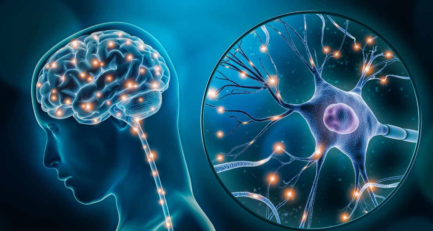 [Morpheus Fields] Память