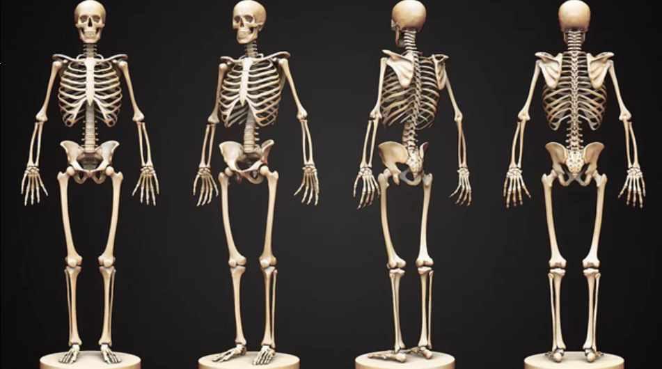 Психосоматика заболеваний опорно-двигательного аппарата Часть 2 (Татьяна Рожкова), фото 1 из 1.