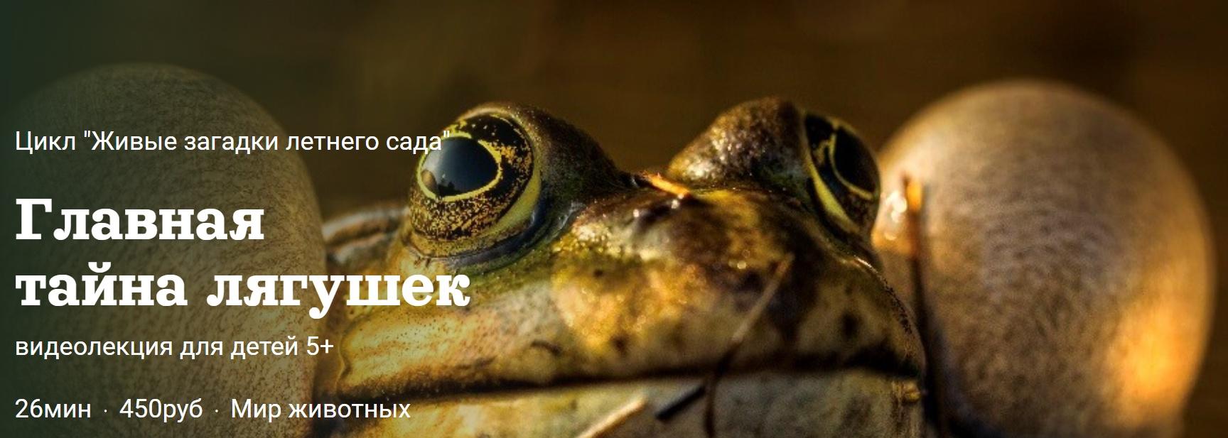 [Детский лекторий] Главная  тайна лягушек (Александр Толмачев)
