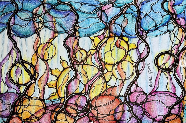 Нейрографика. Шаманский дождь (Елена Некрасовская)