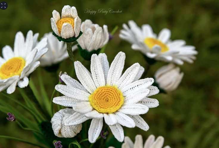 Shasta Daisy Flower/Ромашка (HappyPattyCrochet)