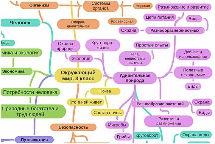Набор майнд-карт за 3 класс (Олеся Полубоярова)