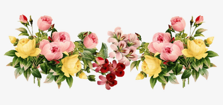 Флора. Магия растений (Велимира)