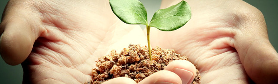 [Интераура] Лечение и профилактика: Бронхиальная астма