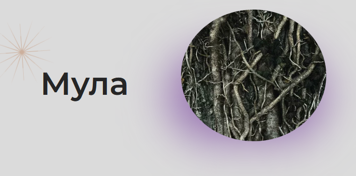 [Astrogreen] Накшатра Мула (Анна Воробьева)