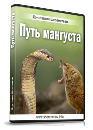 Путь мангуста: успех, благодаря страху (Константин Шереметьев)