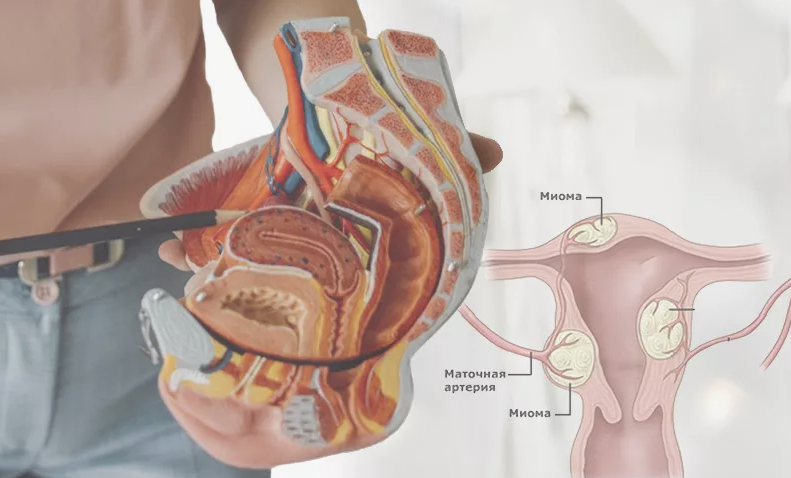 Внутри женщины (Ирина Леонидова)