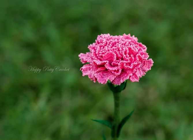 Carnation Flower/Цветок гвоздики (HappyPattyCrochet), фото 1 из 1.