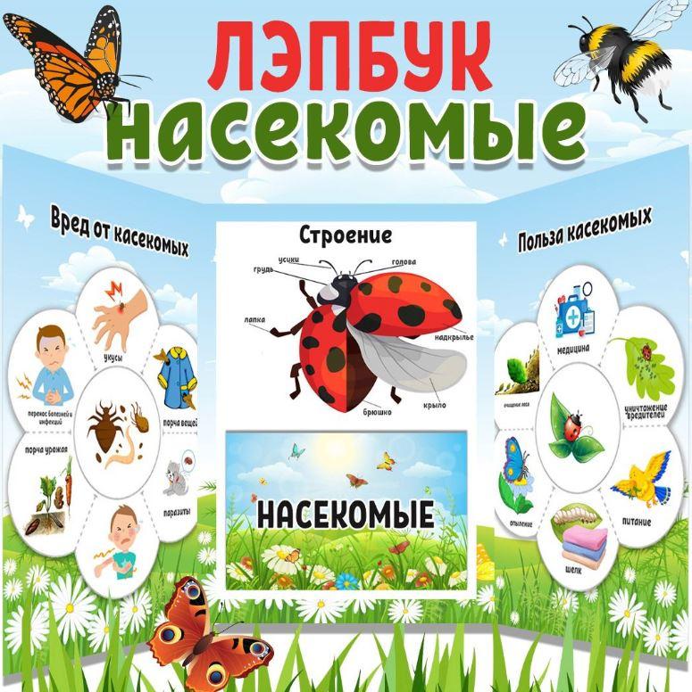 [umeem_igrat] Лэпбук. Насекомые (Алсу Хаметова)