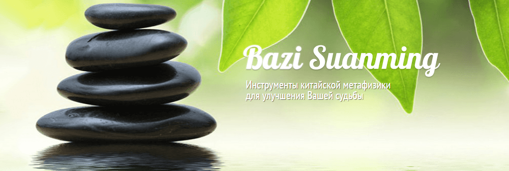 Бацзы. Вебинар Профессии (Оксана Андреева)