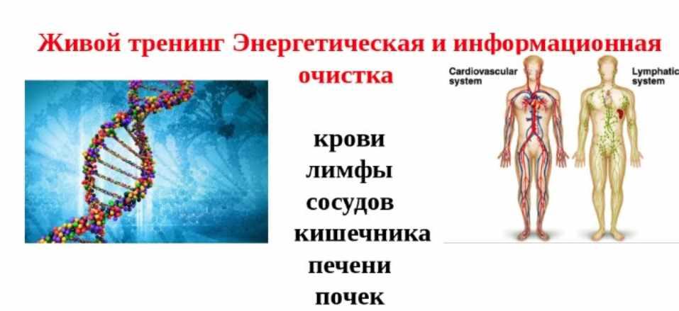 Энергетическая и информационная очистка (Ольга Макарчук)