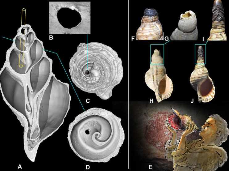 [Архэ] Итоги 2021 года в археологии (Владислав Житенев)