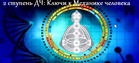 Ключи к механике человека - 2. Пакет Стандарт (Анна Ролева, Вероника Юрина)