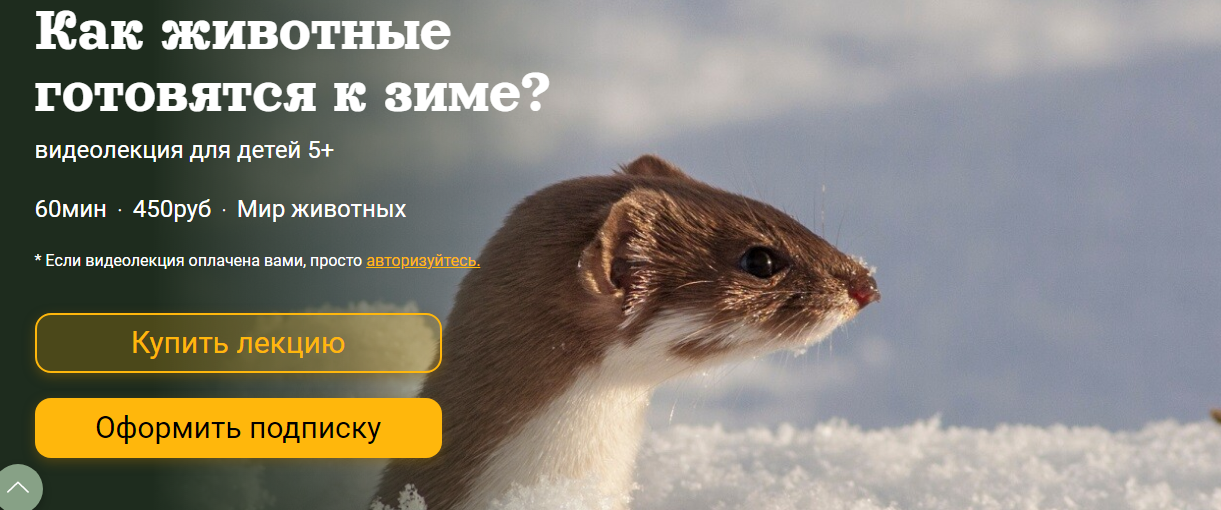 [Детский лекторий] Как животные готовятся к зиме? (Александр Толмачев)