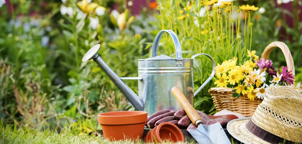 [melius] Кладовая домашних секретов. Всё для дома и сада