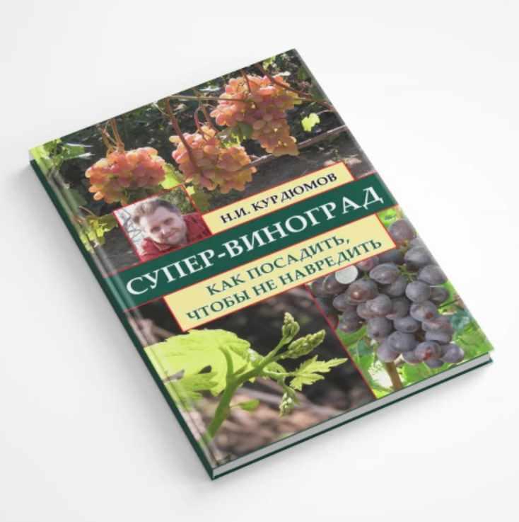Супер-виноград. Навык 5 Как посадить, чтобы не навредить (Николай Курдюмов)
