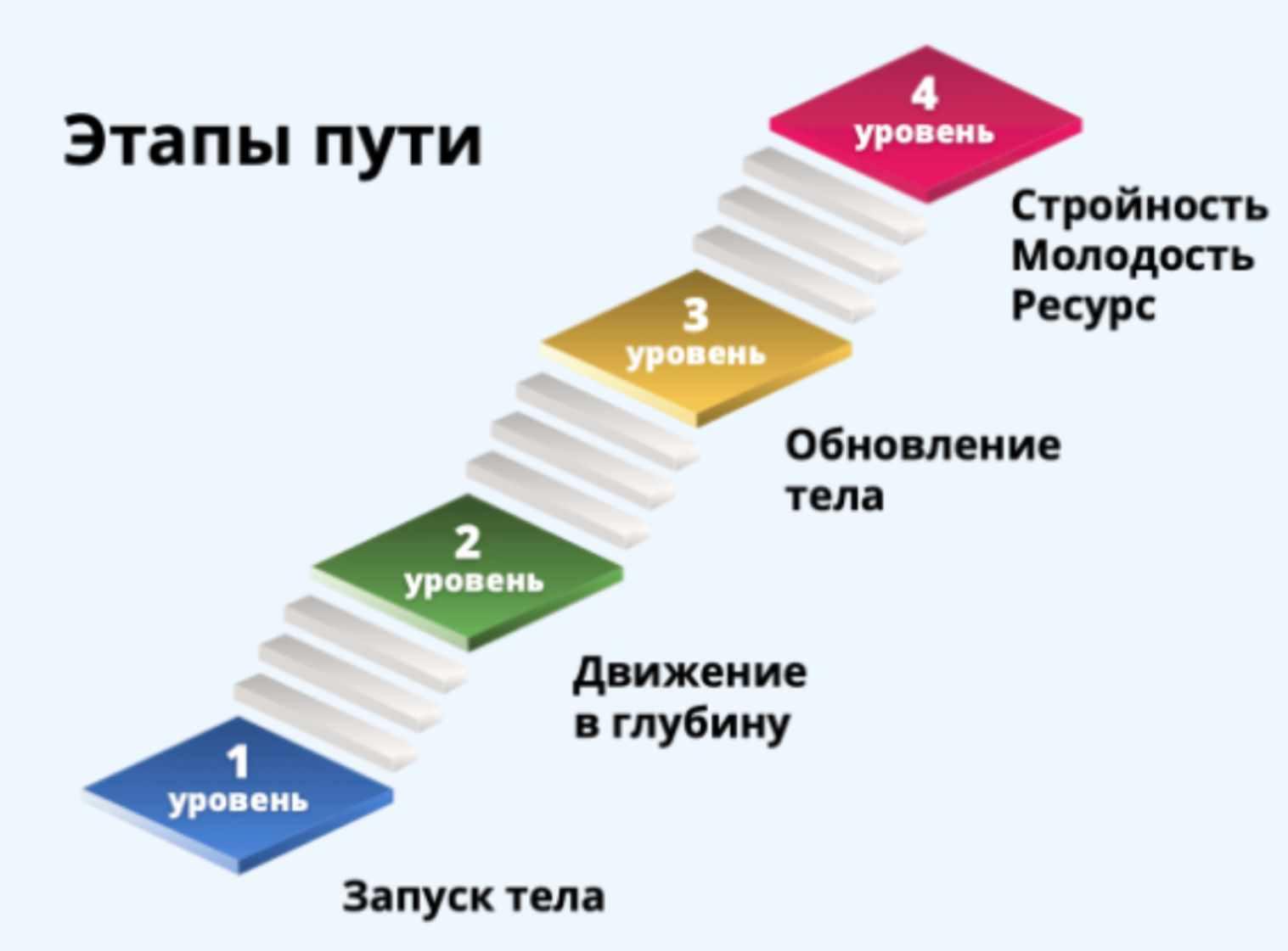 Твой путь к стройности и молодости. 12 месяц (Светлана Рахманова)