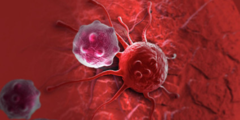 [Архэ] Тайная жизнь клетки. Больные клетки: основы биологии рака (Мария Кондратова)