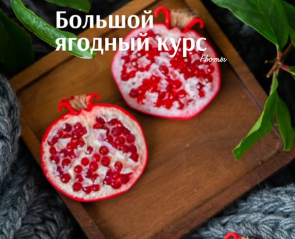 Большой ягодный курс (Нюта Медведева)