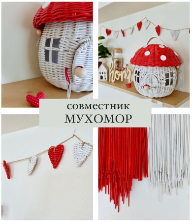 Совместник Мухомор (Олеся Васылив)