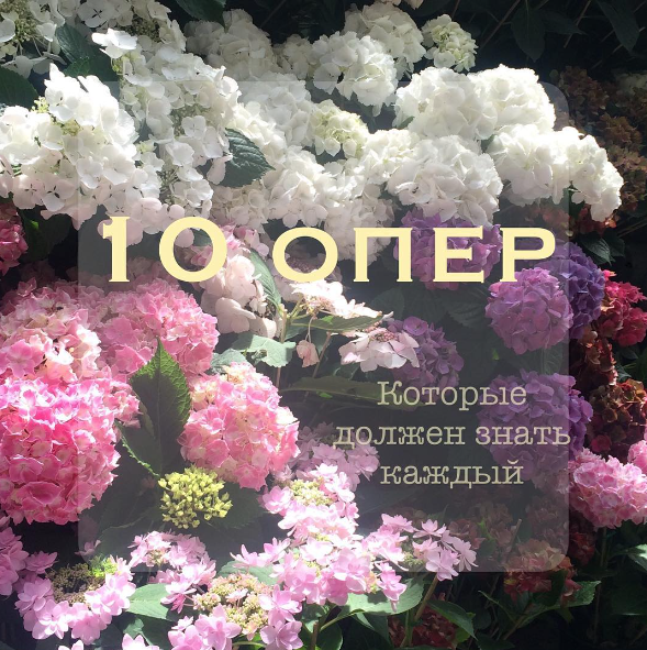 10 опер, которые должен знать каждый (Алина Сергиенко)